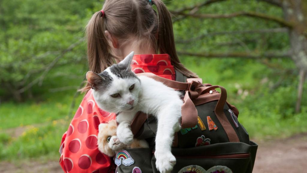 Mädchen bei "Tiere bis unters Dach" mit einer Katze in einem Rucksack