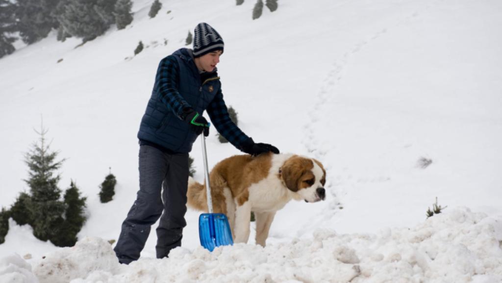 Pawel mit Bernhardiner Oswald im Schnee