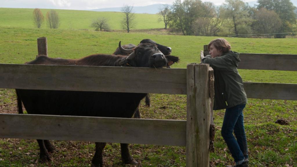 Jan mit Wasserbüffel