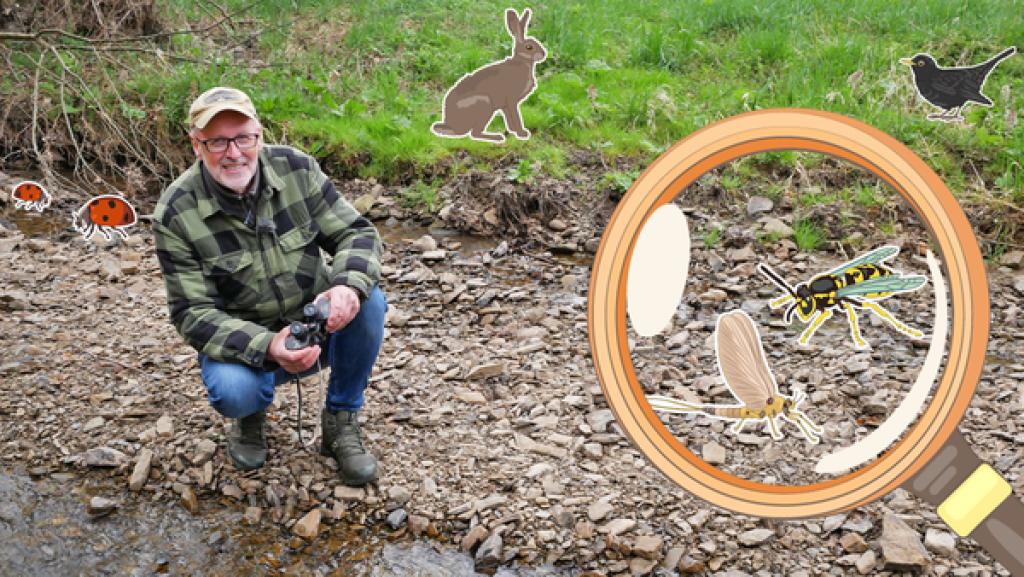 Wassertiere | Rechte: KiKA