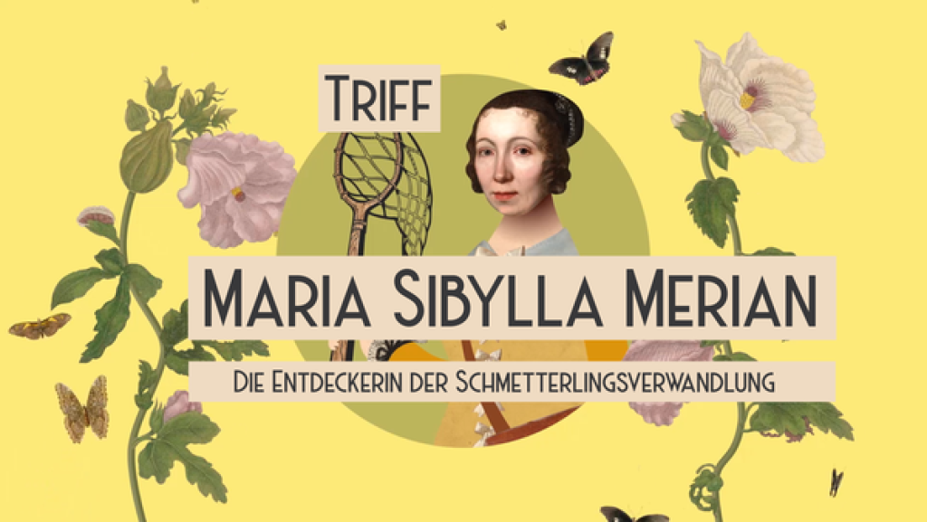 Maria Sibylla Merian | Rechte: PixelPEC Maria Sibylla Merian | Rechte: PixelPEC