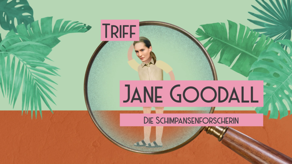 Jane Goodall | Rechte: PixelPEC Jane Goodall | Rechte: PixelPEC