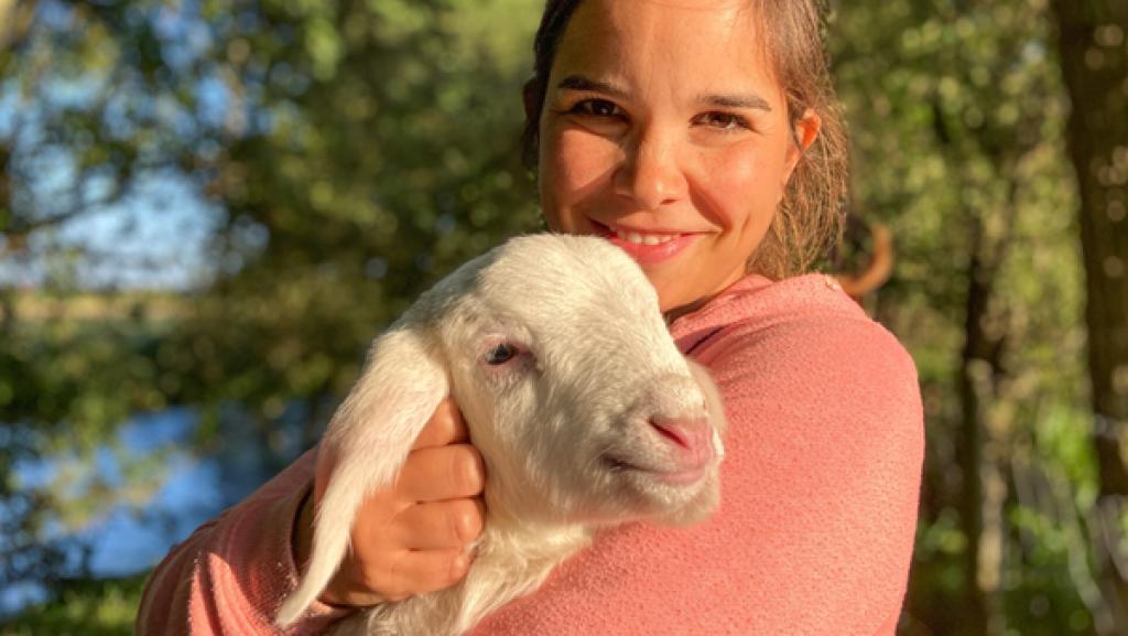 Die Schafe im Zwergenwald (04) / Ein Lamm hat Anschluss an die Herde verloren. Anna macht sich auf die Suche nach der Mutter.