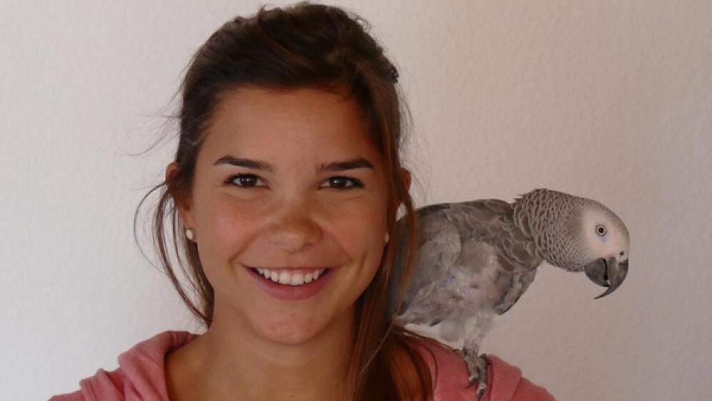 Graupapagei | Dem Graupapagei Weibchen Cynthia gefällt es auf Annas Schulter.
