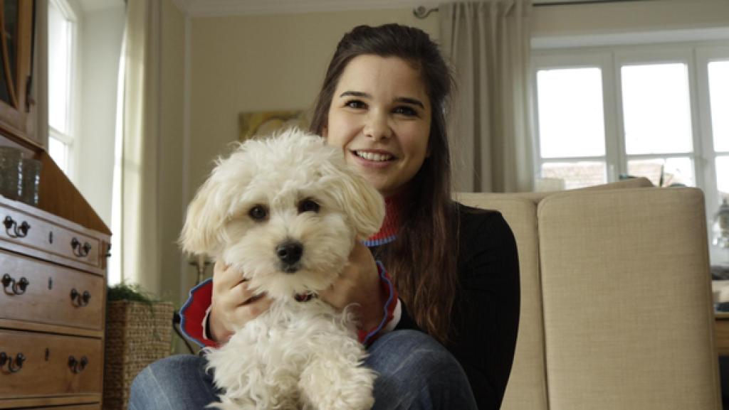 Maltipoo | Mit ihrem flauschigen, lockigen Fell sehen Maltipoos ein bisschen aus wie Teddies.