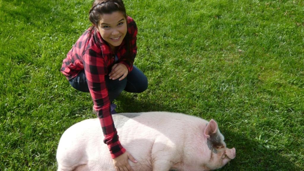 Minischwein | Ein Sonnenbad und den Bauch gekrault von Anna - was kann es schöneres geben. Auch Minischweine brauchen ab und zu eine Streicheleinheit. | Bild: BR | Text und Bild Medienproduktion GmbH & Co. KG