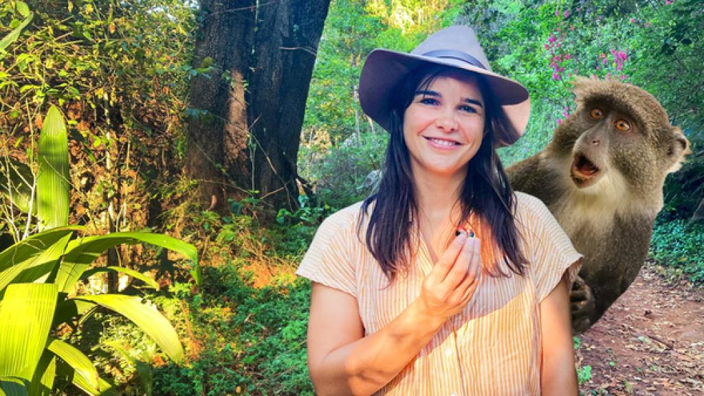 Rambazamba bei den Weißkehlmeerkatzen | Montage: Anna und eine Weißmehlmeerkatze