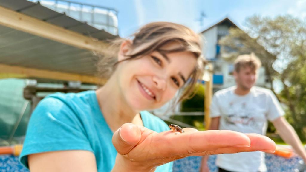 Hundert kleine Moorfrösche | Nach acht Wochen haben sich bereits die ersten kleinen Moorfrösche entwickelt (Anna und im Hintergrund Moritz Ott).	