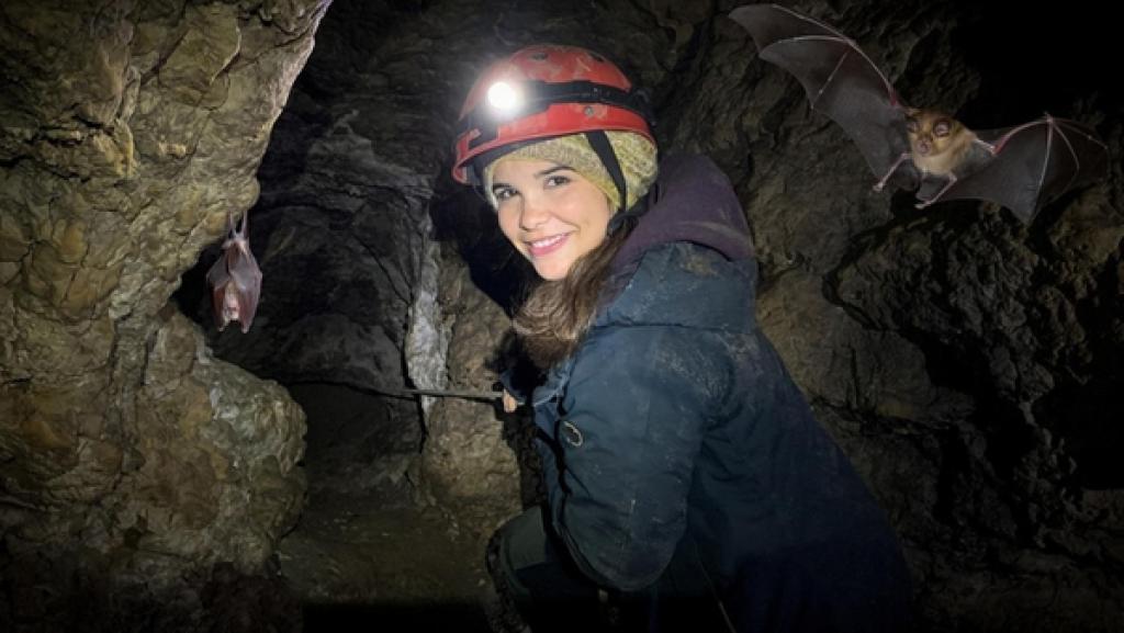Nachwuchs bei den Hufeisennasen | Anna seilt sich in einer Höhle nahe Hohenburg ab, in der die Fledermäuse "Große Hufeisennasen" wohnen.