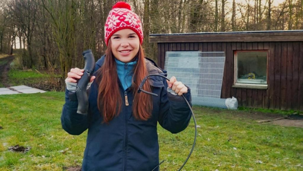 Frech wie ein Marder | An diesen Kabeln hat sich ein Steinmarder zu schaffen gemacht.
