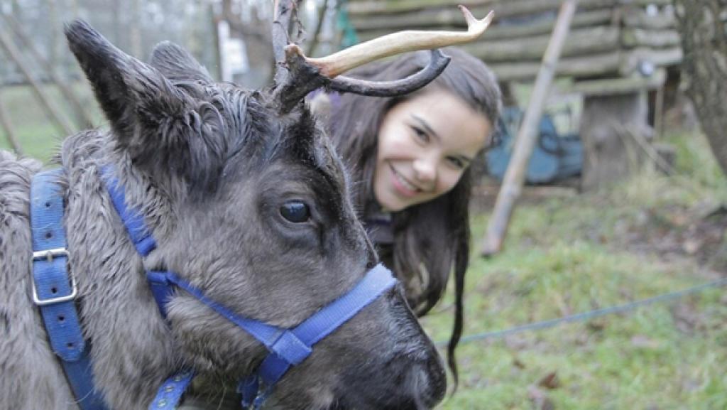 Hat das Rentier eine rote Nase? | Schafft Anna ihren Rentier-Führerschein?