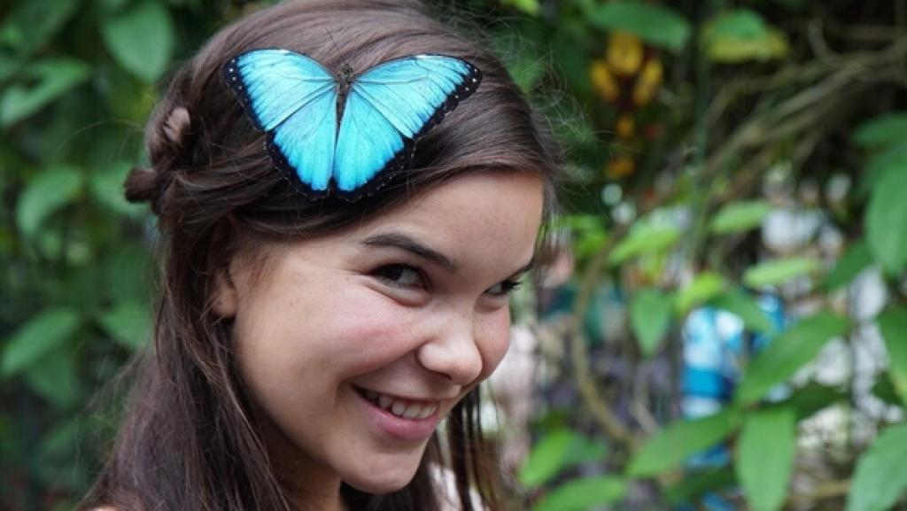 Im Garten der Schmetterlinge | Das ist kein Haarschmuck sondern ein lebender Morphofalter auf dem Kopf von Tierreporterin Anna.