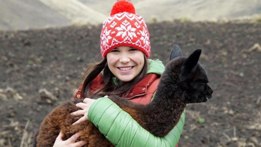 Lama und Alpaka - Die Meisterspucker | So ein Alpaka fühlt sich kuschelig weich an!