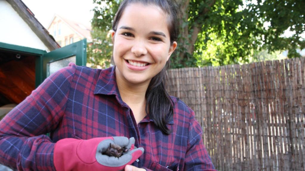 Anna und die wilden Tiere / Fledermäuse gibt es schon seit 50 Millionen Jahre. | Rechte: BR | Text und Bild Medienproduktion GmbH & Co.KG Mausohr, Abendsegler und andere Fledermäuse | Die Gußmannhöhle entstand vor 10 Millionen Jahre. Fledermäuse gibt es schon seit 50 Millionen Jahre.