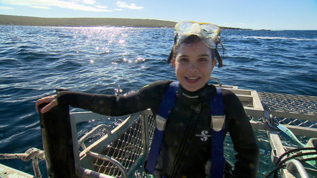 Mit dem Hai unter Wasser | Anna steigt in den Käfig, um den weißen Hai unter Wasser zu beobachten