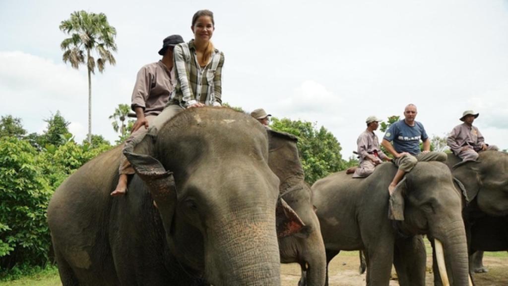 Unterwegs mit der Elefantenpolizei | Anna begleitet die Mahuts - also die Elefantenhüter - und Tierarzt Christopher auf Patrouille. Täglich schauen sie im Nationalpark nach dem Rechten.