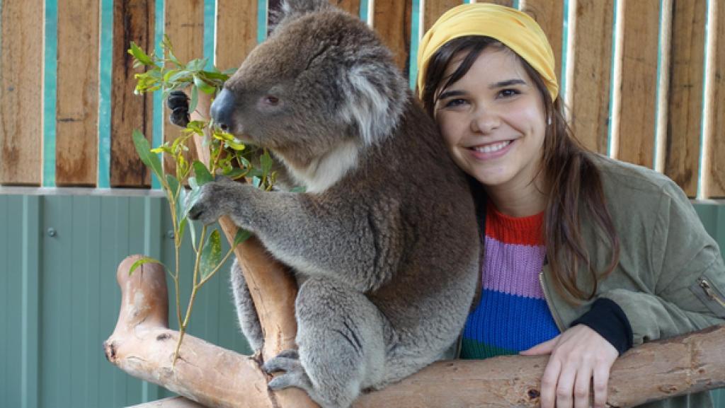 Voll süß, Koala! | Koalas haben ein ganz weiches Fell.