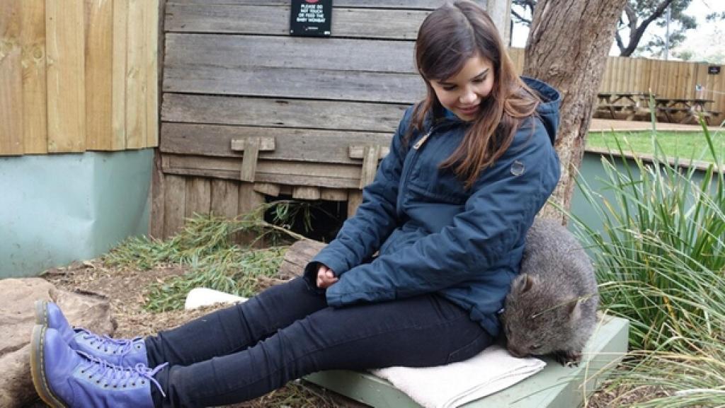 Anna und die wilden Tiere | Rechte: BR | Text und Bild Medienproduktion GmbH & Co.KG Warum der Womabat Würfel kackt / Anna mit kleinem Wombat im Tierpark Bonorong in Tasmanien