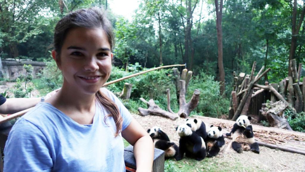 Wie angelt man sich einen Großen Panda? | Anna in der Aufzuchtstation bei den Panda-Babys