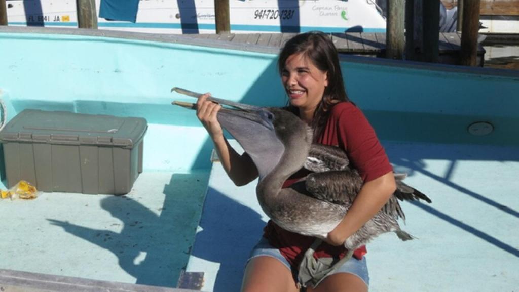 Wie fischt der Pelikan? | Anna hat einen wilden Pelikan in die Hände gedrückt bekommen und darf ihn wieder in die Freiheit entlassen. 