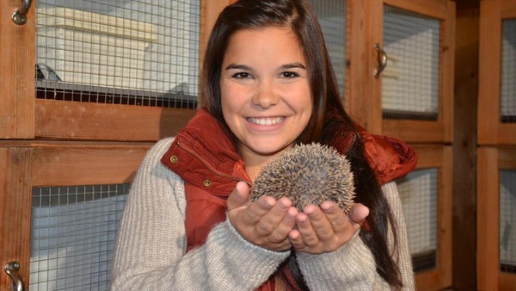 Wie kommt der Igel durch den Winter? / Anna und ein Jungigel