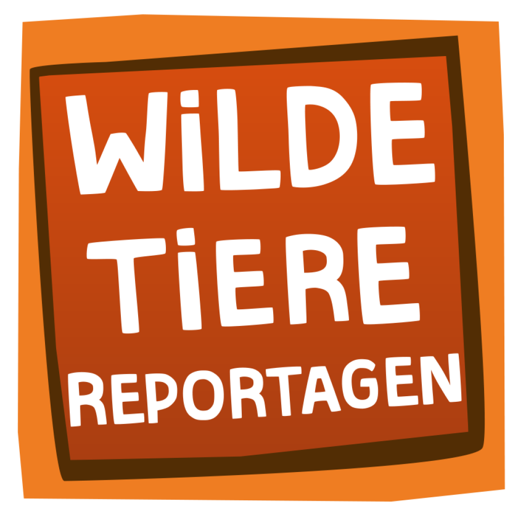 Wilde Tiere Reportagen | Rechte: BR