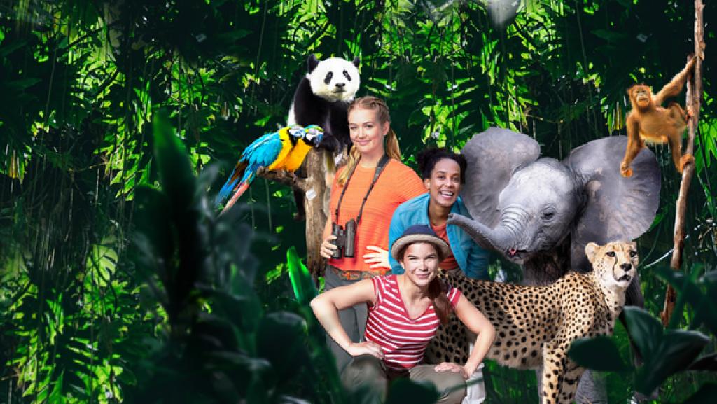 Wilde Tiere Reportagen | Rechte: KiKA