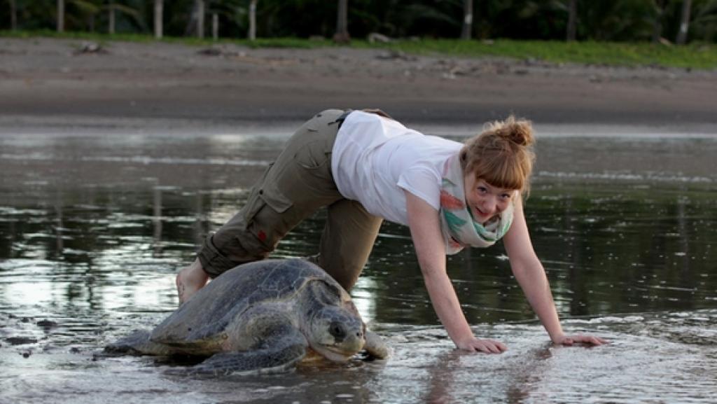 Wie Schildkröten Eier legen | Auf die Plätze fertig los! Wer das Rennen wohl gewinnt? | Bild: BR | Text und Bild Medienproduktion GmbH & Co. KG | Max Kühn