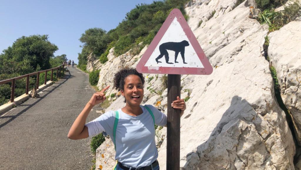 Die Affenbande von Gibraltar | „Achtung Affe!“ In Gibraltar leben mehr als 200 Makaken in freier Wildbahn.