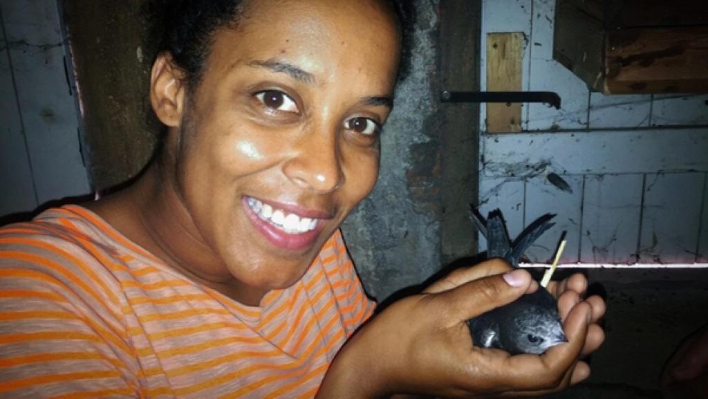 Ein Rucksack für den Mauersegler | Pia hilft, diesen Mauersegler zu beringen. Der kleine Superflieger wiegt nur 40 Gramm.