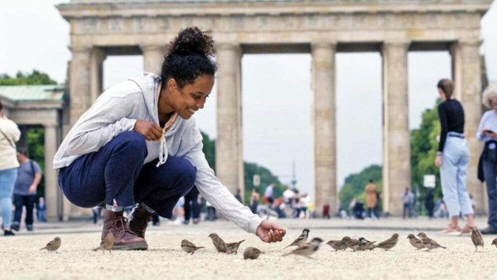 Rettet den Spatz | In keiner deutschen Stadt gibt es noch so viele Spatzen wie in Berlin, deswegen hat Pia sich hier auf die Suche nach den frechen Vögeln gemacht. 