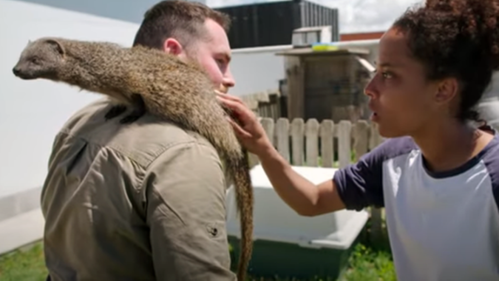 Wer kennt das Ichneumon? | Bild: BR | Text und Bild Medienproduktion GmbH & Co.KG