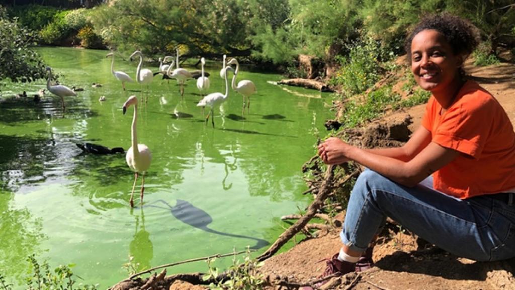Wie rosa ist der Flamingo? | Pia erfährt Spannendes über die Flamingos in einem Vogelschutzgebiet. | Bild: BR |Text und Bild Medienproduktion