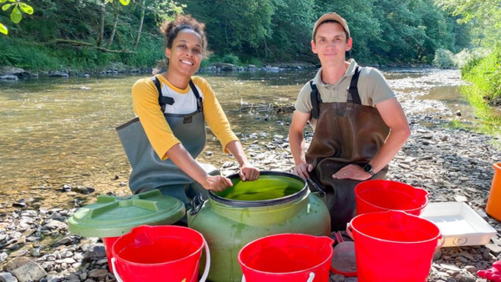 Barfuß im Bach | Nach erfolgreichem Elektrofischen geht es für Pia und Michel ans Sortieren der untersuchten Fische. (Pia Amofa-Antwi, Michel Frisch). | Bild: BR | Text und Bild Medienproduktion GmbH & Co. KG | Anna-Louise Bath