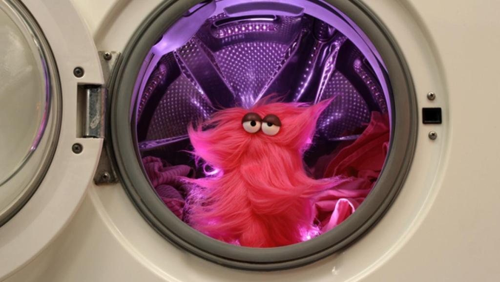 Wisch sitzt in der Waschmaschine